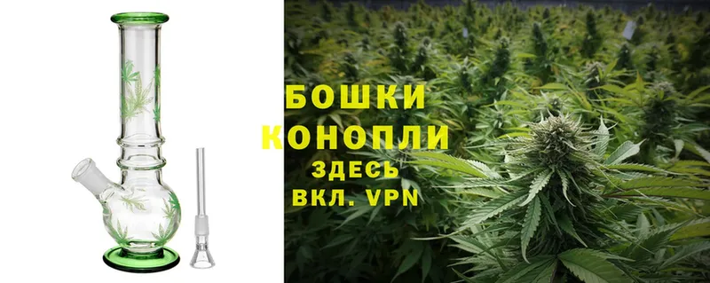 хочу наркоту  Верея  MEGA сайт  Бошки марихуана THC 21% 